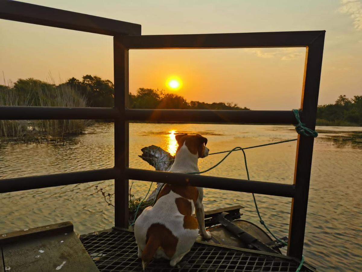 Hippo Retreat & Tiger Fishing Коматипорт Екстериор снимка