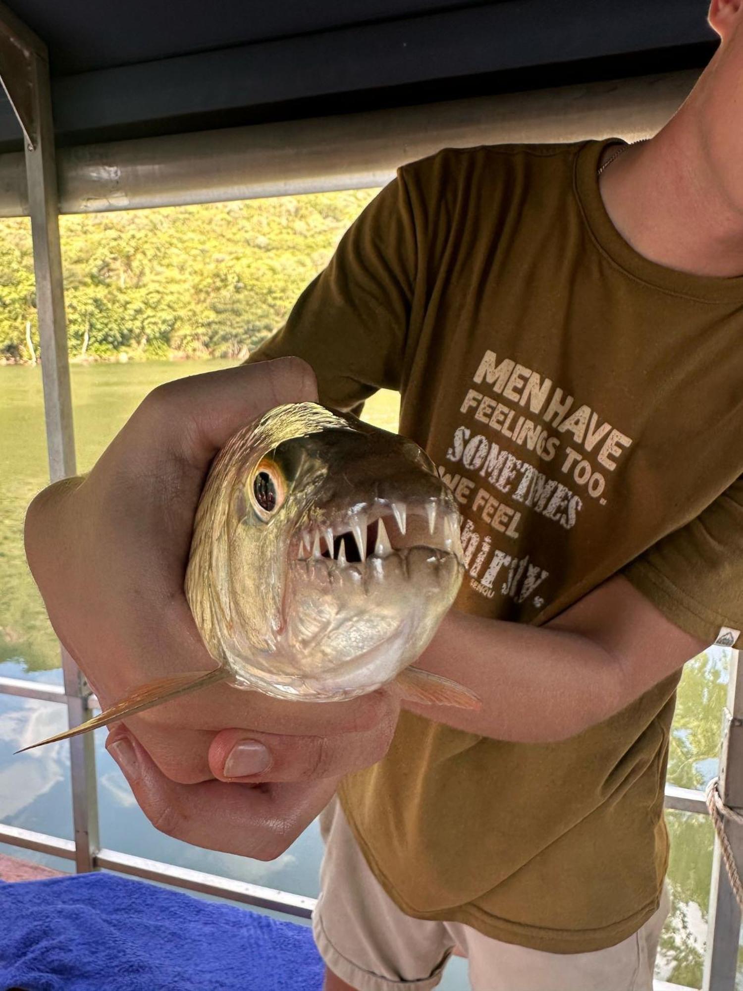 Hippo Retreat & Tiger Fishing Коматипорт Екстериор снимка